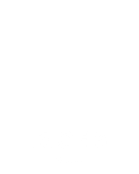 Dice 5