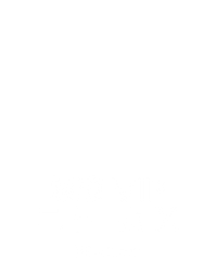 极速 VIP 二十一点 X