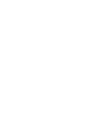 FortunePig