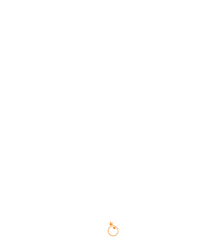 Bull Fiesta