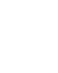Wild Ace