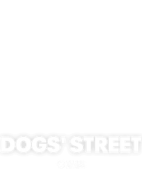 Dogs' Street