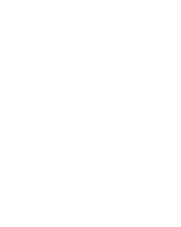100 Cats