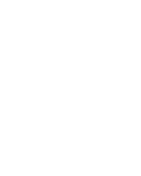 Full Moon Fever