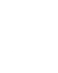 Blackjack VIP 41