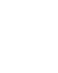 Colt Lightning