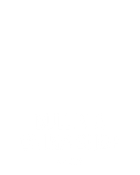Bull in a China Shop