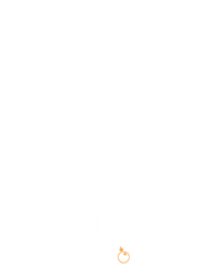 Power of Ninja