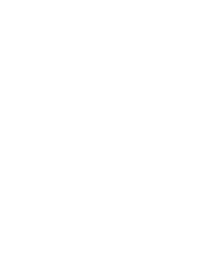 Trial of Phoenix