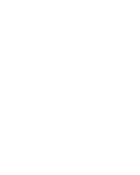 Blackjack VIP 46