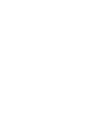 Ships and Bombs