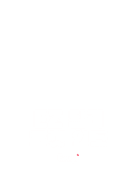 EZ 딜러 룰렛 인도