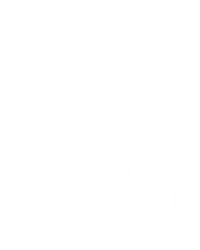 Pilot Chicken