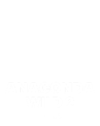 Anaconda Wild 2