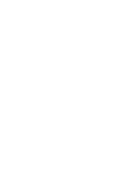 Fortune Monkey