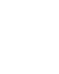 Cricket King 18