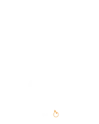 Gold Party