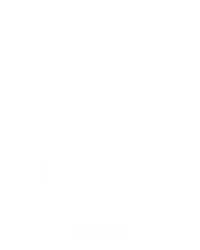 Scratch Alpaca Bronze