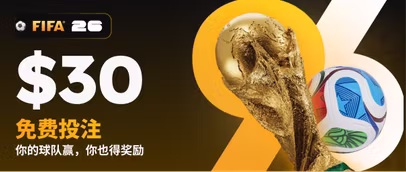 国家忠诚度提升器