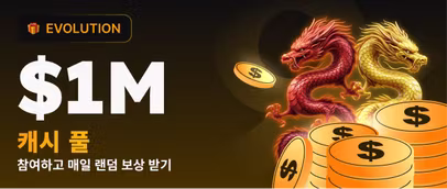 드래곤 캐시 배쉬